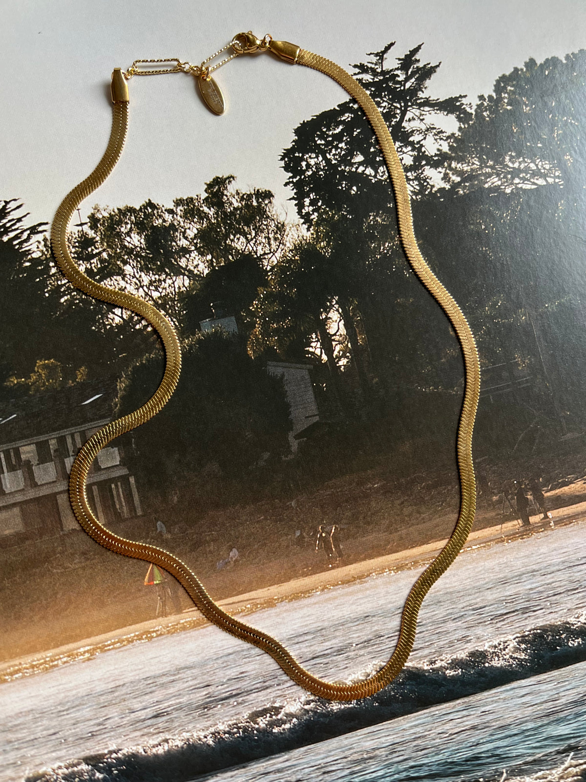 Simone Snake Chain