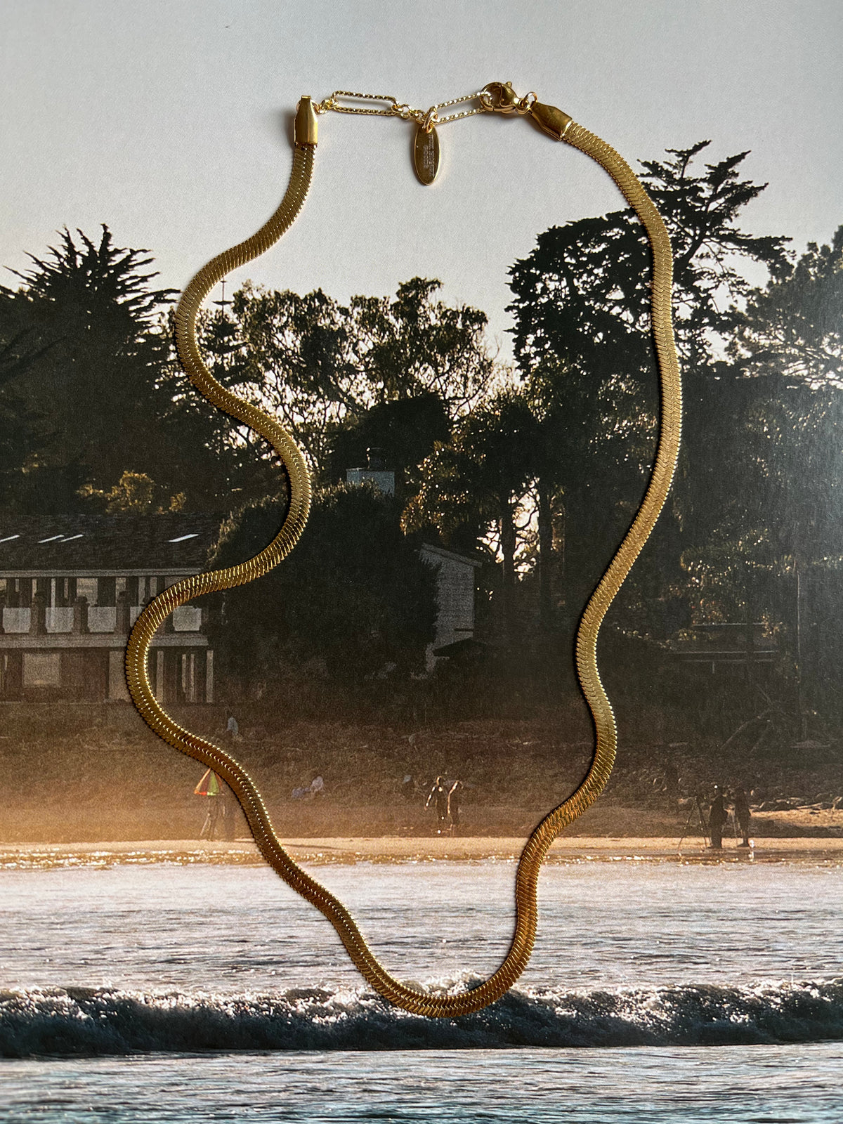 Simone Snake Chain